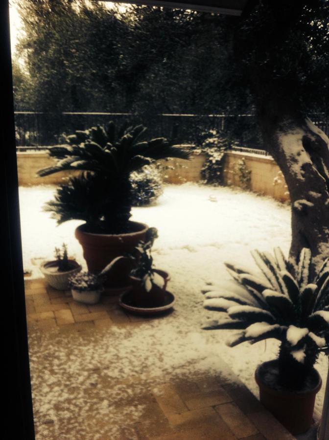 Les Fleurs B&B Bari Exterior photo
